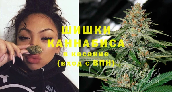 меф Переславль-Залесский