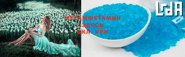 крисы Бородино