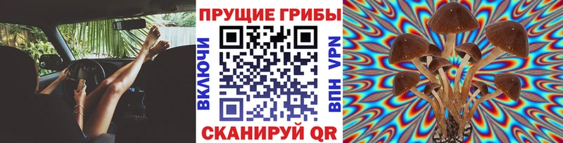Псилоцибиновые грибы прущие грибы Змеиногорск